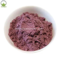 Blueberry extract powder proanthocyanidins in bulk